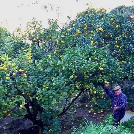 La Maggioressa 酒店 卡萨米乔拉泰尔梅