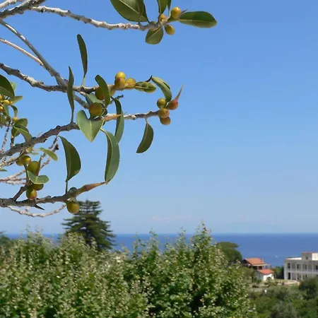 酒店 La Maggioressa 卡萨米乔拉泰尔梅