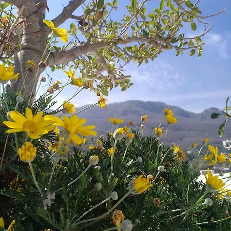 La Maggioressa 卡萨米乔拉泰尔梅