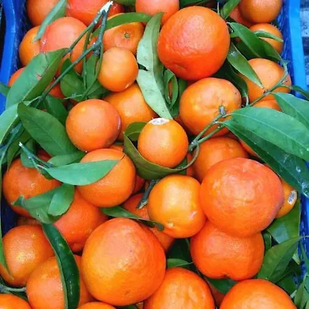 酒店 La Maggioressa 2*