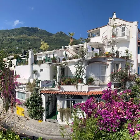 La Maggioressa كازاميتْشيولا تيرمي