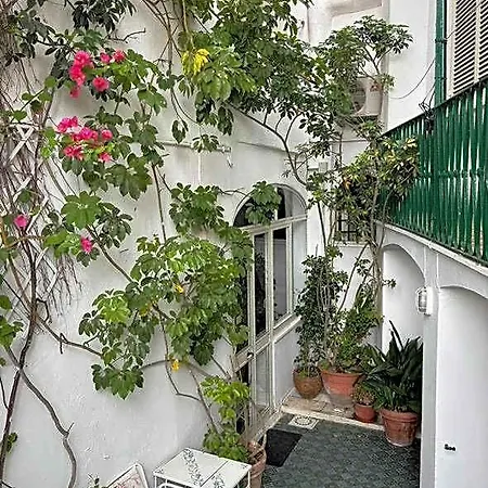Hotel La Maggioressa Casamicciola Terme